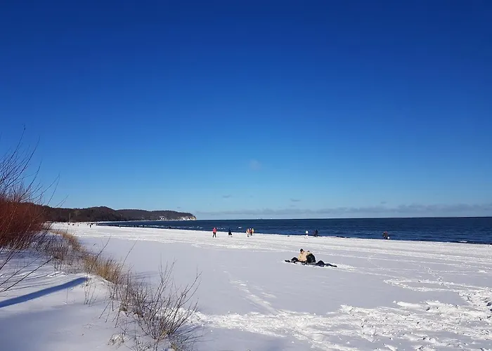 Homestay szállás Old House *